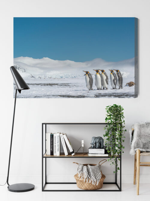 Obraz na płótnie Pingwiny Arktyka Śnieg  Premium Canvas - obrazek 9