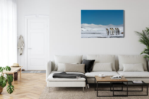 Obraz na płótnie Pingwiny Arktyka Śnieg  Premium Canvas - obrazek 6