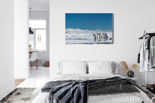 Obraz na płótnie Pingwiny Arktyka Śnieg  Premium Canvas - obrazek 7