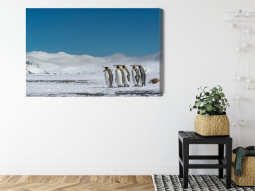 Obraz na płótnie Pingwiny Arktyka Śnieg  Premium Canvas - obrazek 8