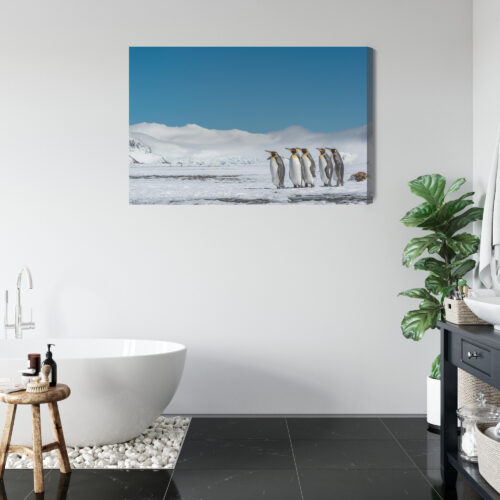 Obraz na płótnie Pingwiny Arktyka Śnieg  Premium Canvas - obrazek 5