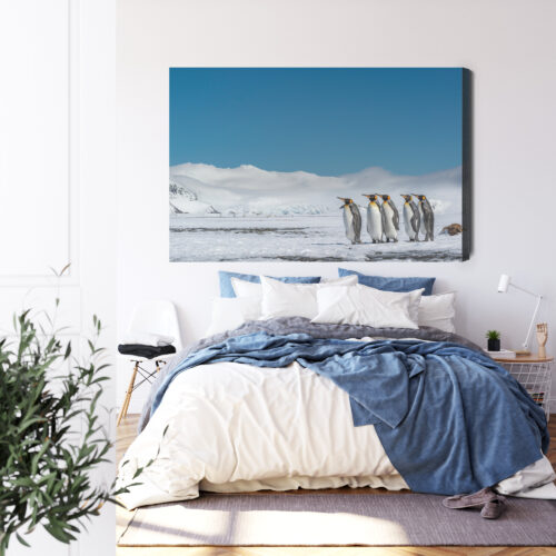 Obraz na płótnie Pingwiny Arktyka Śnieg  Premium Canvas - obrazek 3