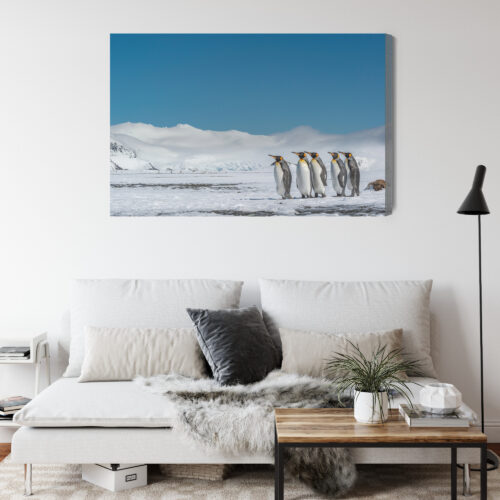 Obraz na płótnie Pingwiny Arktyka Śnieg  Premium Canvas - obrazek 4