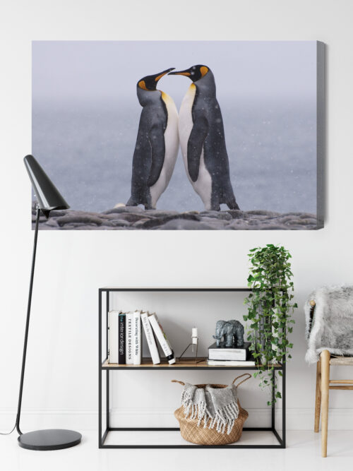 Obraz na płótnie Zwierzęta Pingwiny razem Premium Canvas - obrazek 9