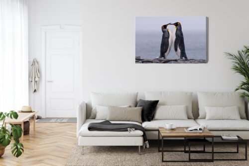 Obraz na płótnie Zwierzęta Pingwiny razem Premium Canvas - obrazek 6