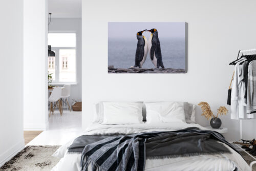 Obraz na płótnie Zwierzęta Pingwiny razem Premium Canvas - obrazek 7