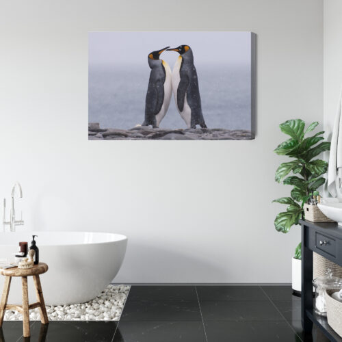 Obraz na płótnie Zwierzęta Pingwiny razem Premium Canvas - obrazek 5