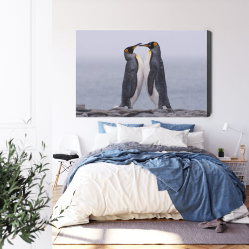 Obraz na płótnie Zwierzęta Pingwiny razem Premium Canvas - obrazek 3
