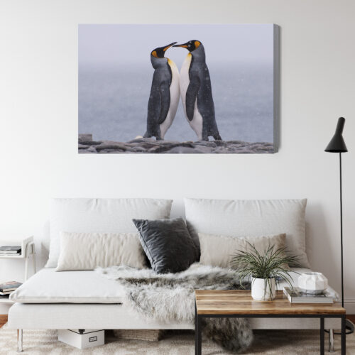 Obraz na płótnie Zwierzęta Pingwiny razem Premium Canvas - obrazek 4