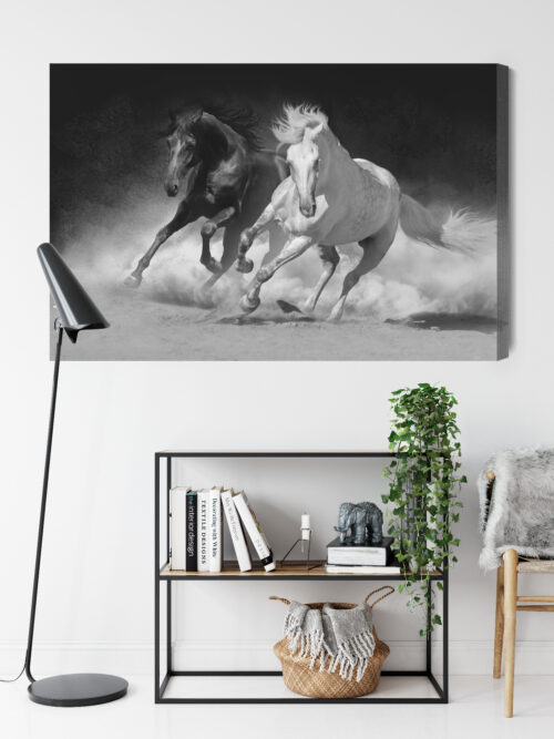 Obraz na płótnie Zwierzęta Biały i czarny koń Premium Canvas - obrazek 9