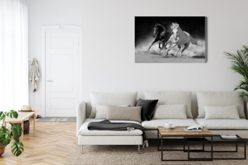 Obraz na płótnie Zwierzęta Biały i czarny koń Premium Canvas - obrazek 6