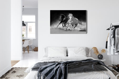 Obraz na płótnie Zwierzęta Biały i czarny koń Premium Canvas - obrazek 7
