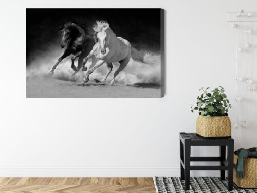 Obraz na płótnie Zwierzęta Biały i czarny koń Premium Canvas - obrazek 8