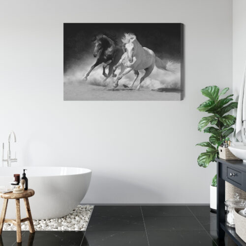 Obraz na płótnie Zwierzęta Biały i czarny koń Premium Canvas - obrazek 5