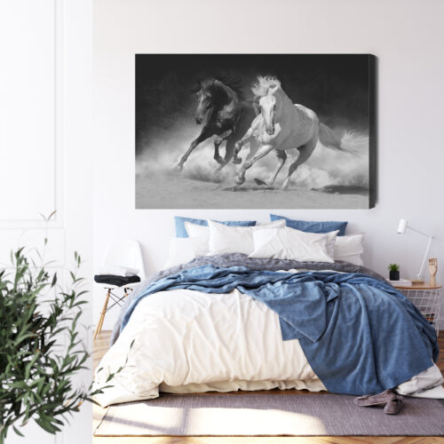 Obraz na płótnie Zwierzęta Biały i czarny koń Premium Canvas - obrazek 3