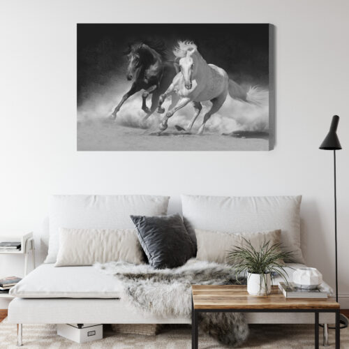 Obraz na płótnie Zwierzęta Biały i czarny koń Premium Canvas - obrazek 4