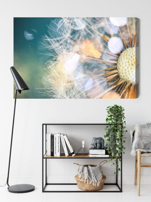 Obraz na płótnie Dmuchawiec Makrofotografia Lekkość i natura  Premium Canvas - obrazek 9