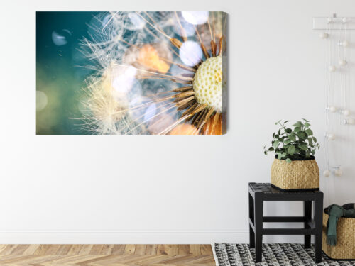 Obraz na płótnie Dmuchawiec Makrofotografia Lekkość i natura  Premium Canvas - obrazek 8