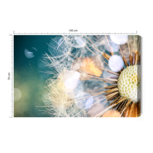 Obraz na płótnie Dmuchawiec Makrofotografia Lekkość i natura  Premium Canvas