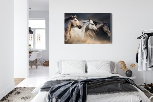 Obraz na płótnie Zwierzęta Galopujące konie Premium Canvas - obrazek 7