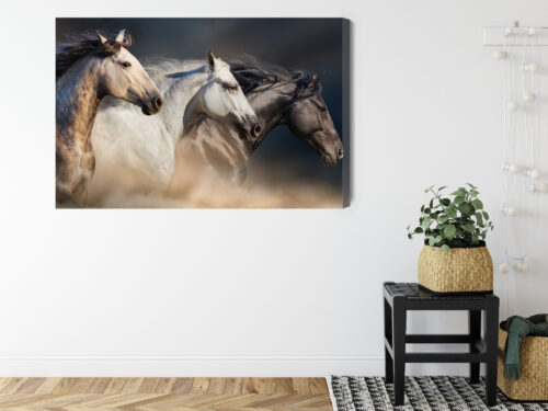 Obraz na płótnie Zwierzęta Galopujące konie Premium Canvas - obrazek 8