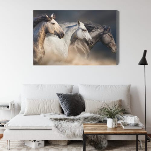 Obraz na płótnie Zwierzęta Galopujące konie Premium Canvas - obrazek 4
