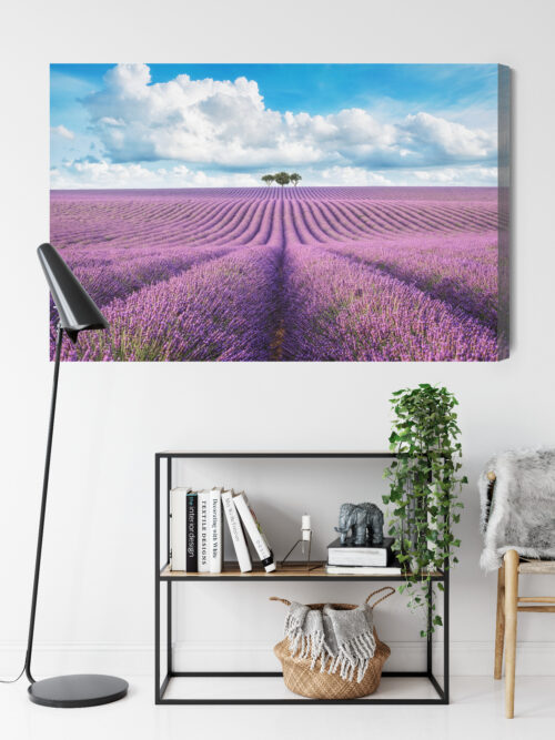 Obraz na płótnie Lawendowe pole z drzewami Krajobraz  Premium Canvas - obrazek 9
