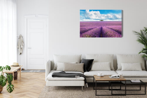 Obraz na płótnie Lawendowe pole z drzewami Krajobraz  Premium Canvas - obrazek 6