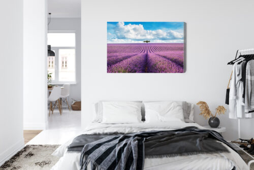 Obraz na płótnie Lawendowe pole z drzewami Krajobraz  Premium Canvas - obrazek 7