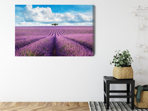 Obraz na płótnie Lawendowe pole z drzewami Krajobraz  Premium Canvas - obrazek 8