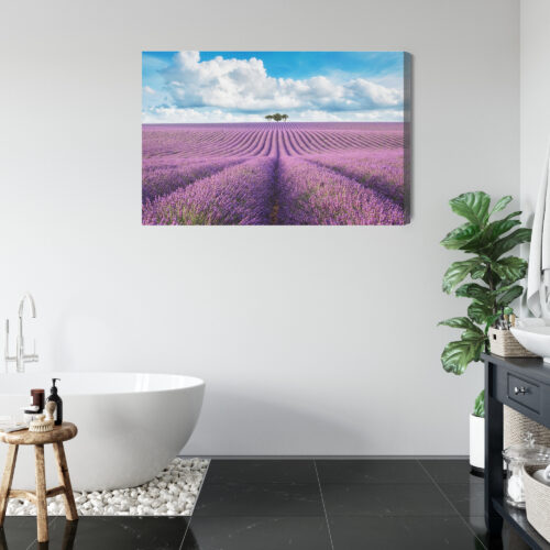 Obraz na płótnie Lawendowe pole z drzewami Krajobraz  Premium Canvas - obrazek 5