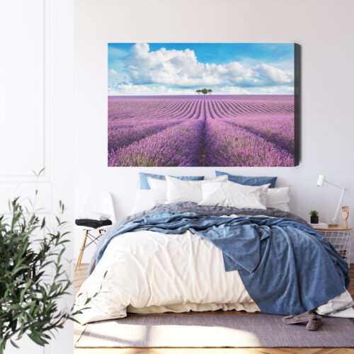 Obraz na płótnie Lawendowe pole z drzewami Krajobraz  Premium Canvas - obrazek 3