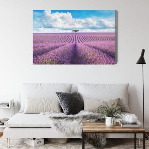 Obraz na płótnie Lawendowe pole z drzewami Krajobraz  Premium Canvas - obrazek 4