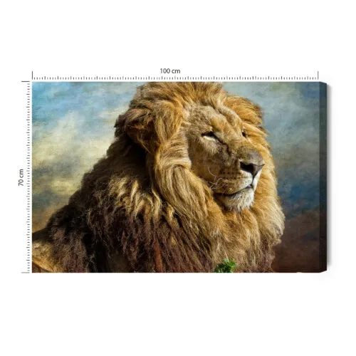 Obraz na płótnie Natura Lew portret Premium Canvas