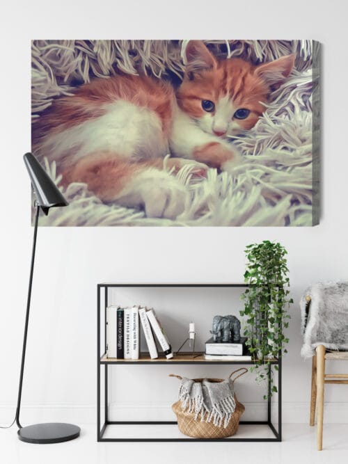 Obraz na płótnie Zwierzęta Śpiący kotek Premium Canvas - obrazek 9
