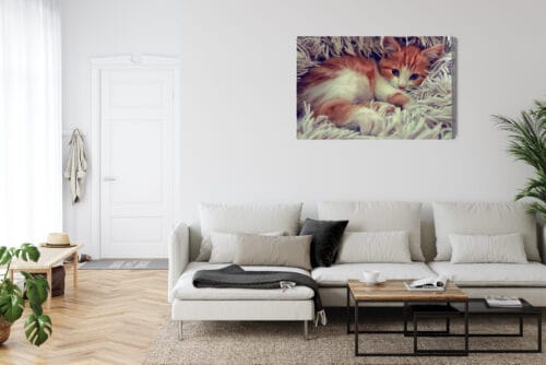 Obraz na płótnie Zwierzęta Śpiący kotek Premium Canvas - obrazek 6