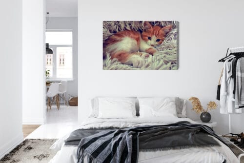 Obraz na płótnie Zwierzęta Śpiący kotek Premium Canvas - obrazek 7