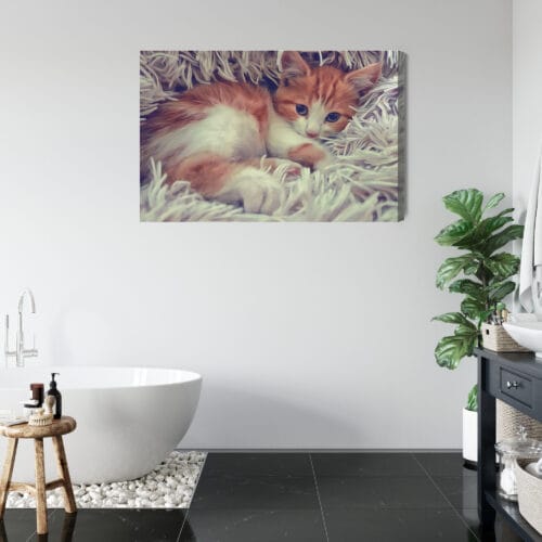 Obraz na płótnie Zwierzęta Śpiący kotek Premium Canvas - obrazek 5