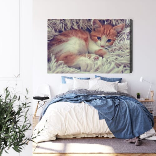Obraz na płótnie Zwierzęta Śpiący kotek Premium Canvas - obrazek 3