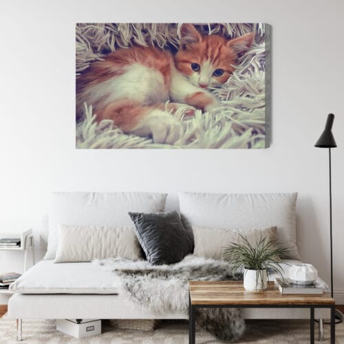 Obraz na płótnie Zwierzęta Śpiący kotek Premium Canvas - obrazek 4