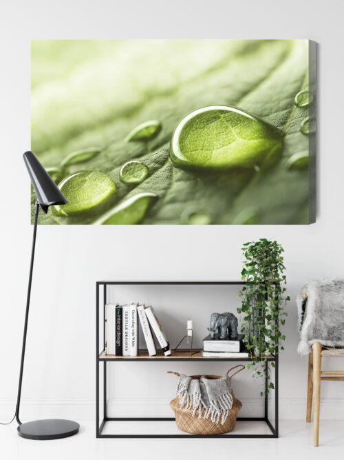 Obraz na płótnie Krople Wody Natura Liść Makrofotografia  Premium Canvas - obrazek 9