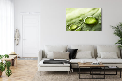 Obraz na płótnie Krople Wody Natura Liść Makrofotografia  Premium Canvas - obrazek 6