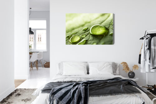 Obraz na płótnie Krople Wody Natura Liść Makrofotografia  Premium Canvas - obrazek 7