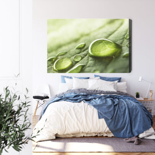Obraz na płótnie Krople Wody Natura Liść Makrofotografia  Premium Canvas - obrazek 3