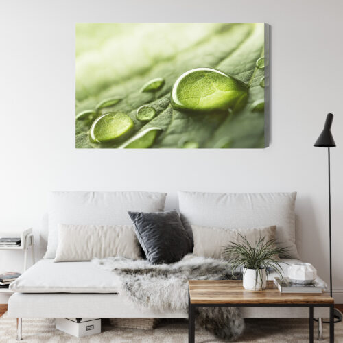 Obraz na płótnie Krople Wody Natura Liść Makrofotografia  Premium Canvas - obrazek 4