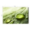 Obraz na płótnie Krople Wody Natura Liść Makrofotografia  Premium Canvas