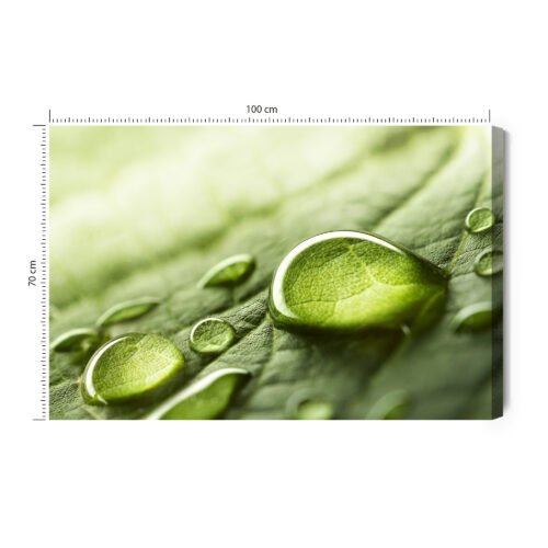 Obraz na płótnie Krople Wody Natura Liść Makrofotografia  Premium Canvas