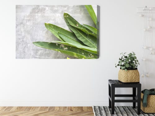Obraz na płótnie Liście Tropikalne Minimalizm Zielony  Premium Canvas - obrazek 8