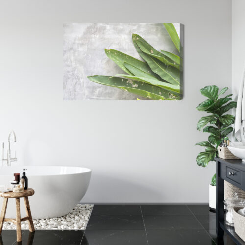 Obraz na płótnie Liście Tropikalne Minimalizm Zielony  Premium Canvas - obrazek 5