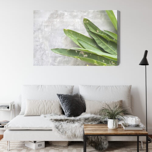 Obraz na płótnie Liście Tropikalne Minimalizm Zielony  Premium Canvas - obrazek 4